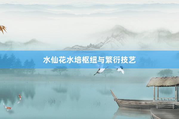 水仙花水培枢纽与繁衍技艺