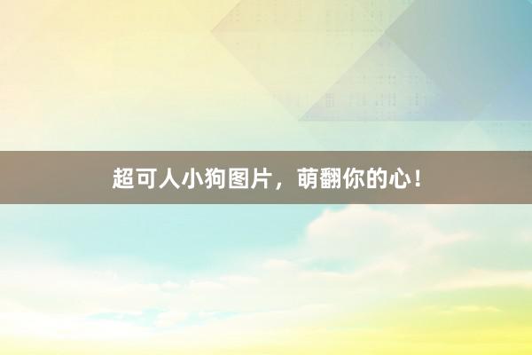 超可人小狗图片,萌翻你的心!
